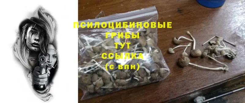 Псилоцибиновые грибы Psilocybine cubensis  цены наркотик  Бронницы 